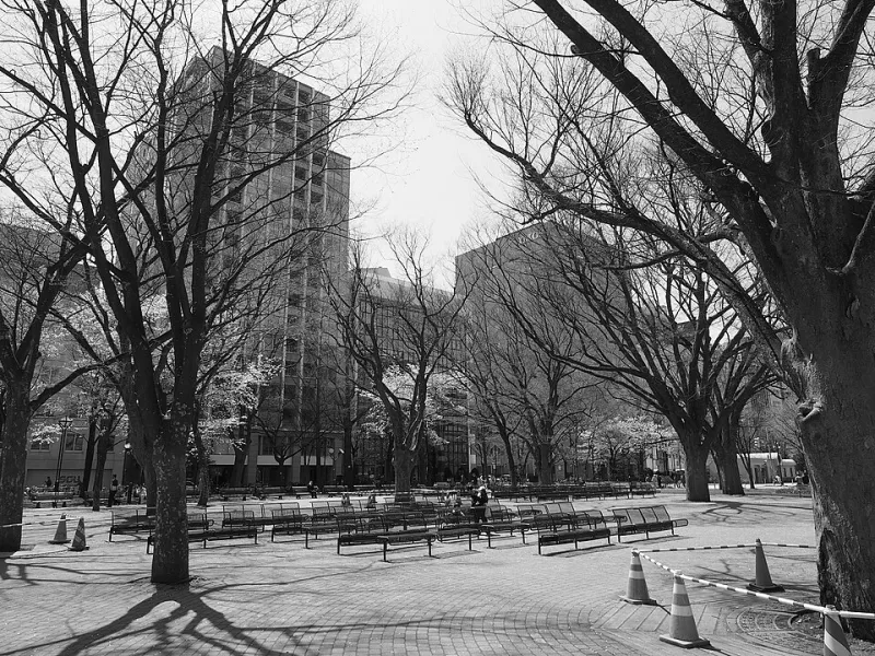 Why Sapporo Is Where Americans Finally 'Get' Japan